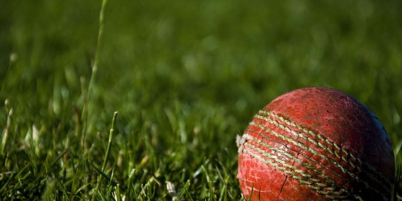 虚拟线上助威界面，显示各国家队支持率柱状图